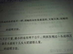 常用的九種說明方法有哪些五級