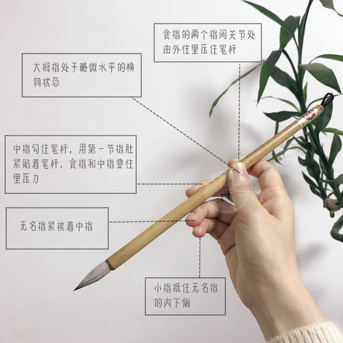 中國(guó)畫(huà)的基本運(yùn)筆方法有哪些