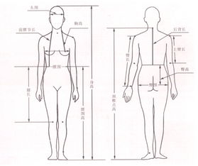 人體測(cè)量方法主要有哪些