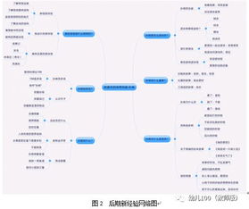 幼兒運(yùn)動(dòng)評(píng)估方法有哪些方法有哪些