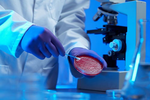 病理學常用的研究方法和臨床應用包括哪些