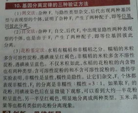 分離定律的驗(yàn)證方法有哪些