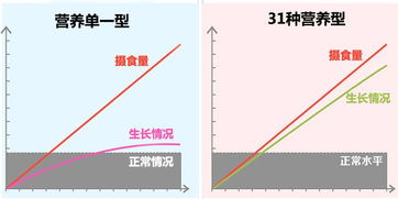 長(zhǎng)高的科學(xué)物理方法有哪些