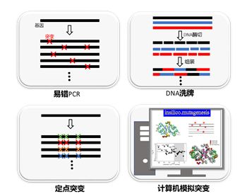 文庫(kù)構(gòu)建方法有哪些
