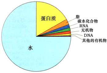 水的補(bǔ)量方法有哪些方法有哪些方法