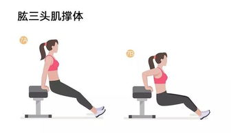 減肥運(yùn)動(dòng)的訓(xùn)練方法有哪些方法有哪些方法