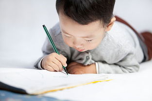 學(xué)會啦哪些寫字的方法