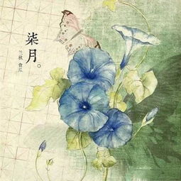 玫瑰的浪漫古詩句