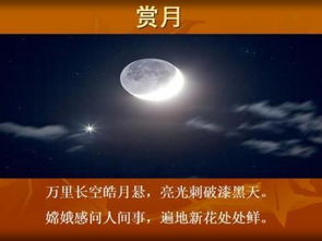 關于放棄股市的詩句