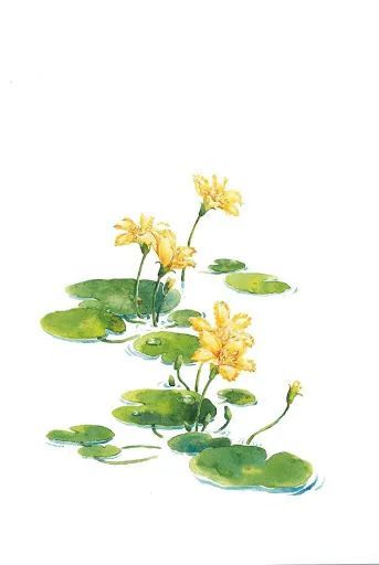 關(guān)于一草的詩句