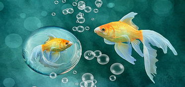 關于金魚的詩句古詩