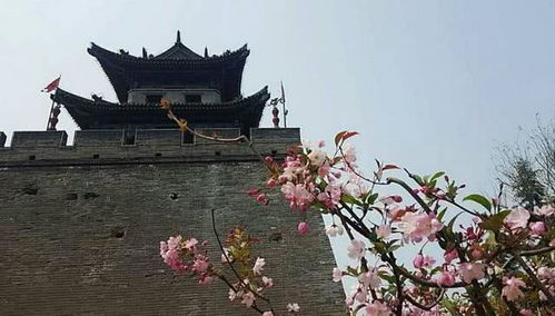 關于孟浩然春天的詩句