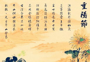 關(guān)于重陽(yáng)節(jié)登高的古詩(shī)的詩(shī)句