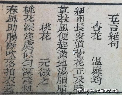 桃樹,詩句