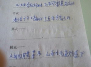 菜花的古詩句有