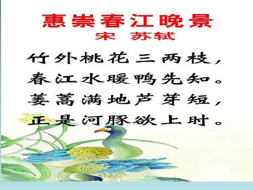 描寫夏天古詩景色詩句二級
