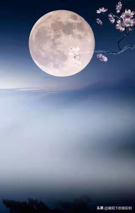 關(guān)于夜和明月的詩句