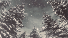 形容春雪的詩句古詩詞