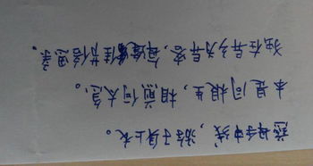 關于親情的詩句自創(chuàng)