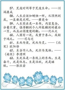 中國(guó)古詩(shī)句作文