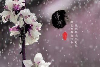 還有哪些關(guān)于柳的相關(guān)的古詩(shī)句