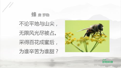 在75首古詩中關(guān)于冬天的所有詩句