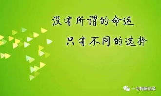 關于失敗后勵志的詩句,失敗了站起來的勵志詩句,考試失敗后的勵志詩句