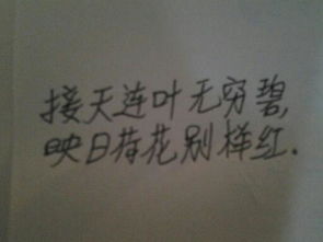 與家書有關(guān)的古詩句