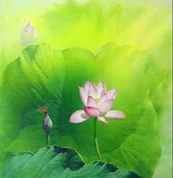 關(guān)于荷花蓮花的詩句古詩詞