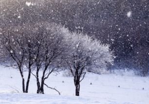 古詩,詩句,大全,寫雪美