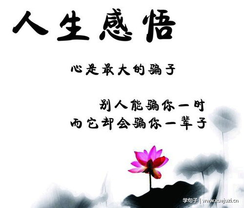 關于感悟生命的古詩句