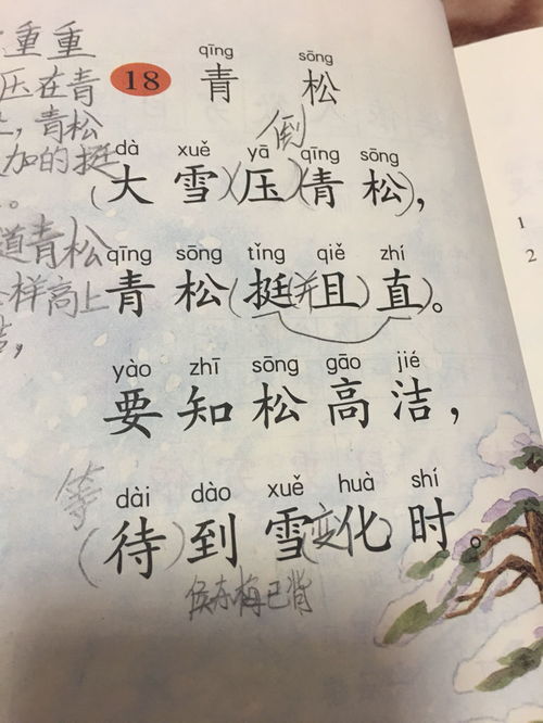 關于贊頌青松的詩句