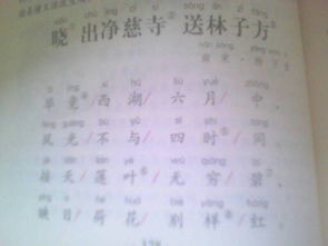描寫夏天景物的詩句古詩