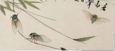 關(guān)于蟬的詩句和詞語