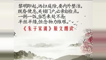詩句,真理,追求