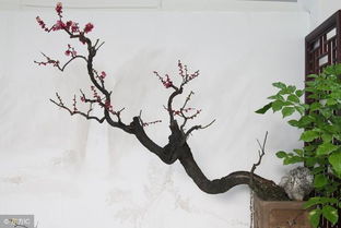 花水詩(shī)句古詩(shī)詞
