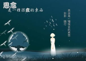關(guān)于思念的愛情詩(shī)句