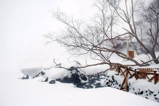 自創(chuàng)寫雪的詩句比喻,關(guān)于雪的現(xiàn)代詩句自創(chuàng),描寫雪的詩句自創(chuàng)