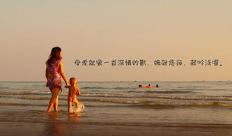 表現(xiàn)親情母愛(ài)的古詩(shī)句
