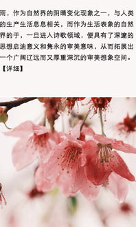 春天的詩句古詩詞