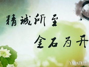 關(guān)于老師的名言和詩句有哪些,關(guān)于老師的名言和詩句還有文章,老師對學(xué)生的期望名言或詩句