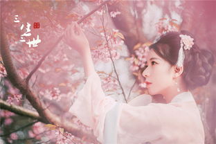 關(guān)于粉紅女郎的詩句