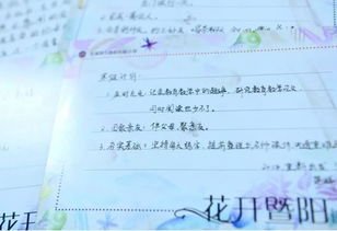 寫兩句關(guān)于寒假的詩句