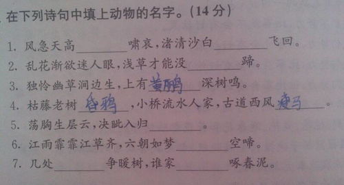 詩句