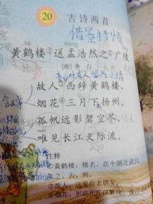 春天的詩句古詩大全,關于描寫春天的詩句古詩大全,關于春天梅花的詩句古詩大全