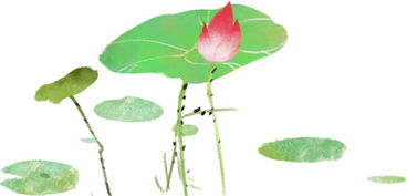 佛教里荷的詩句古詩