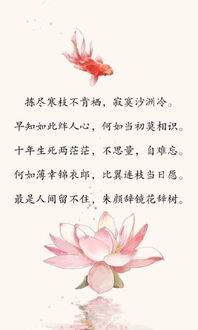 形容徹底絕望的古詩句,絕望的古詩句子,絕望心寒的古詩
