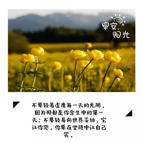 詩句,積極進(jìn)取