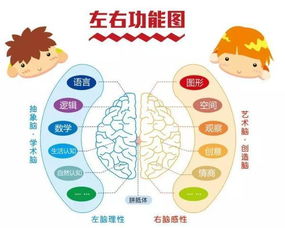 課外閱讀重要性的古詩句