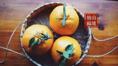 人不可貌相古詩句